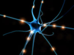 Nuestro cerebro y sus neuronas, las máquinas más eficientes de reconocer patrones